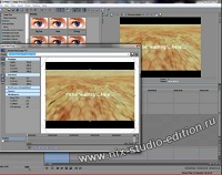 Эффекты в Sony Vegas